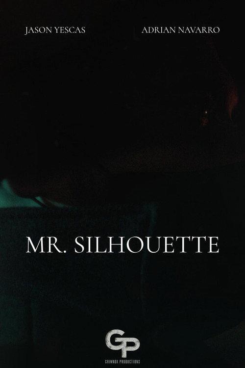 Mr. Silhouette 2026 official movie poster