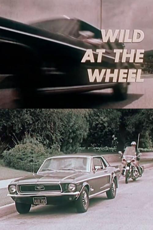 Wild at the Wheel 1973 official movie poster