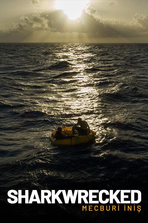 Sharkwrecked: Crash Landing official movie poster