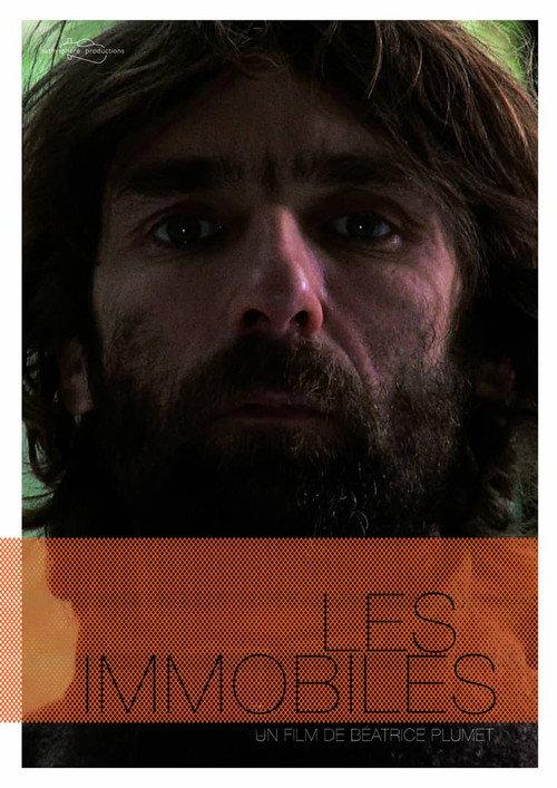 Les immobiles 2013 official movie poster