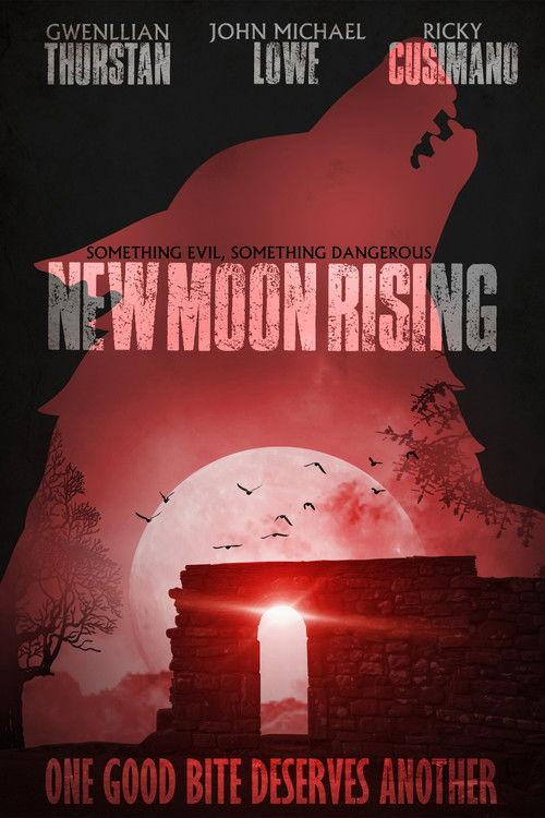 Something Evil, Something Dangerous: New Moon Rising 2011 official movie poster