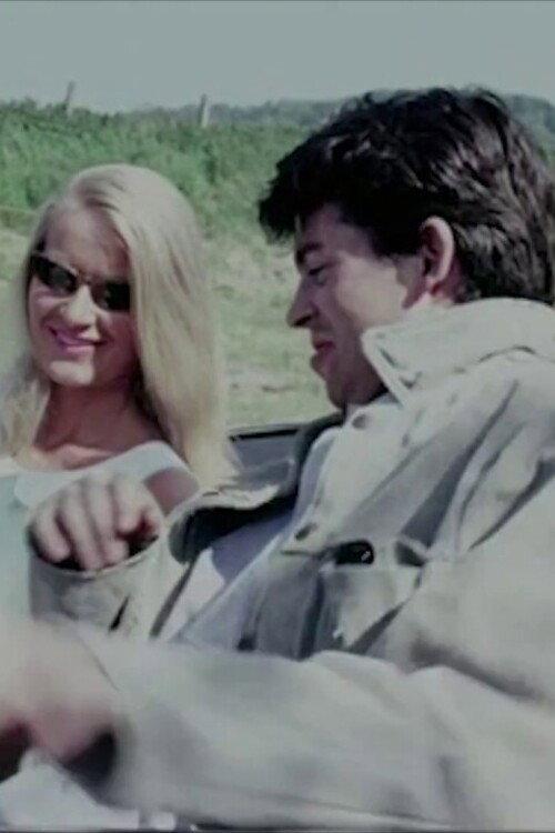 One Summer in Somerset 1968 official movie poster