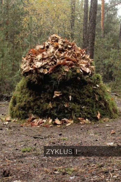 Zyklus I 2010 official movie poster