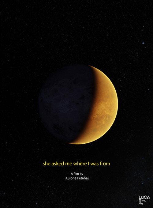 She Asked Me Where I Was From 2020 official movie poster