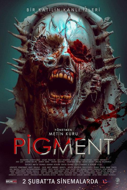 Pigment 2024 official movie poster