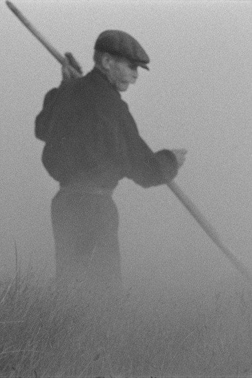 The Old Man and the Land 1965 official movie poster
