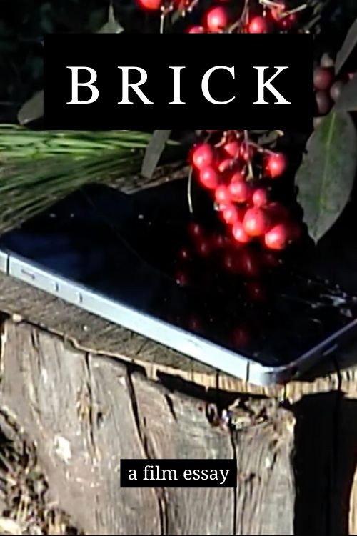 Brick - A film essay 2021 official movie poster