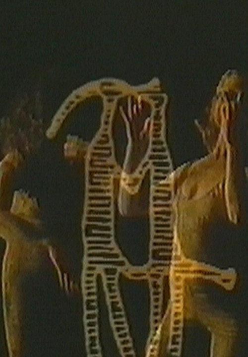 The Duality of Nature 1986 official movie poster