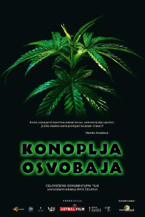 Cannabis Sets You Free 2022 official movie poster