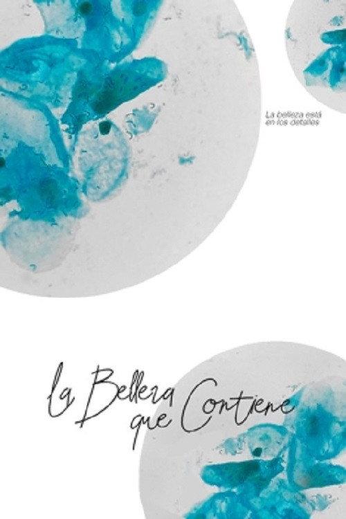 La belleza que contiene 2020 official movie poster