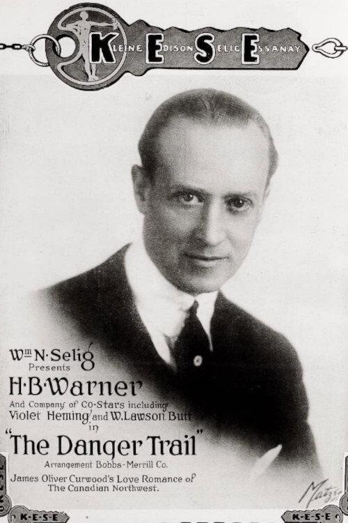 Danger Trail 1917 official movie poster