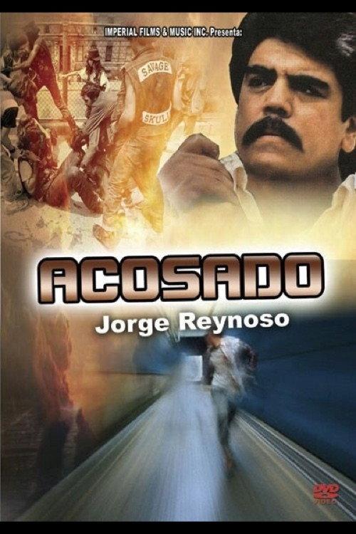 Acosado 1991 official movie poster