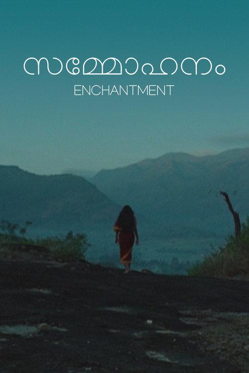 Enchantment 1994 official movie poster