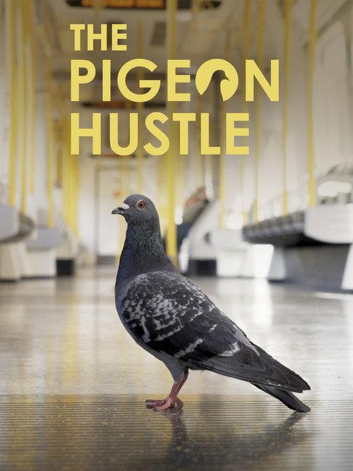 The Pigeon Hustle 2025 official movie poster