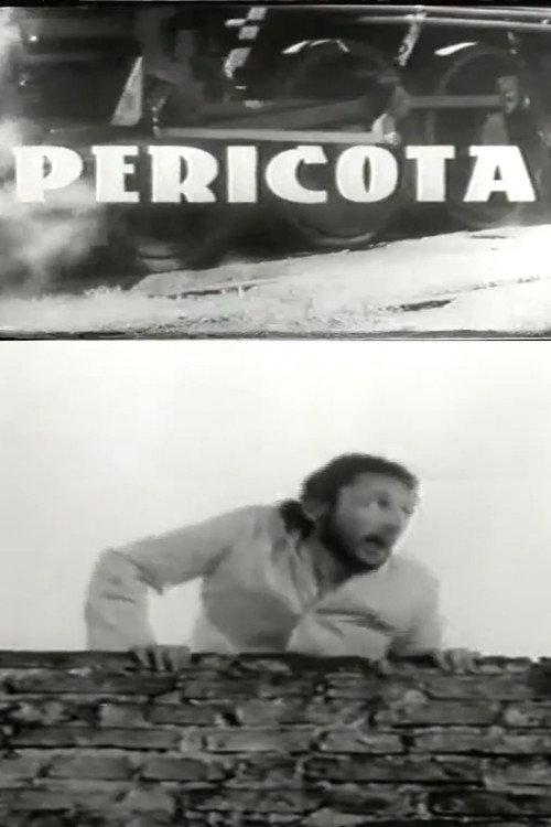 Pericota 1969 official movie poster