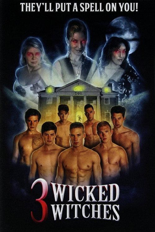 3 Wicked Witches 2014 official movie poster