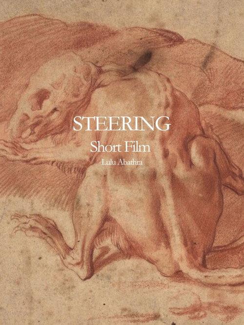 Steering 2024 official movie poster