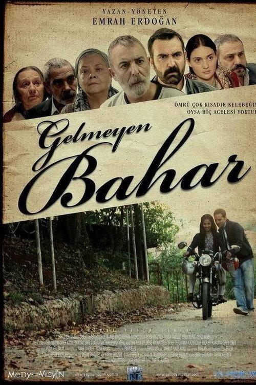Gelmeyen Bahar 2013 official movie poster