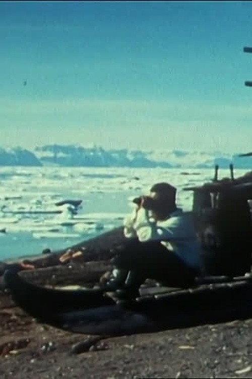 Ice Bank in Summer 1968 official movie poster