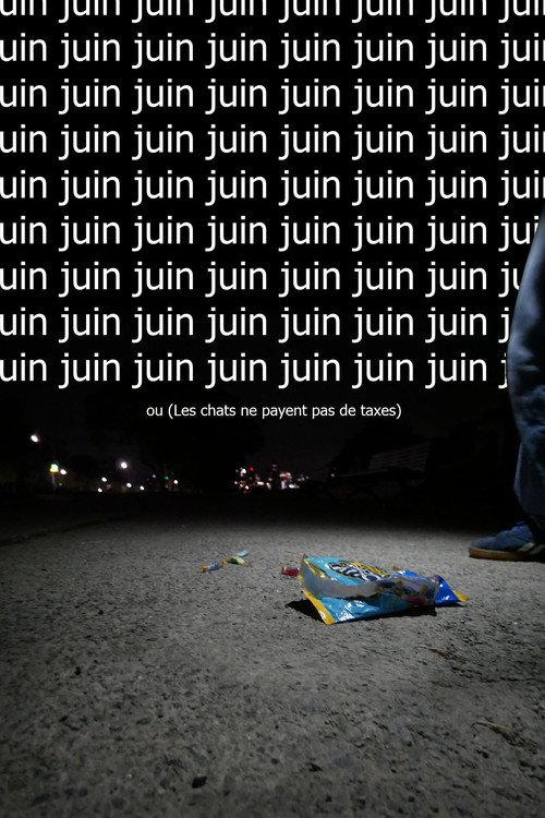 Juin ou  (Les chats ne payent pas de taxes) 2025 official movie poster