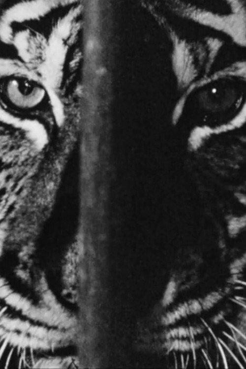 Marguerite Duras in the Lions' Den 1966 official movie poster