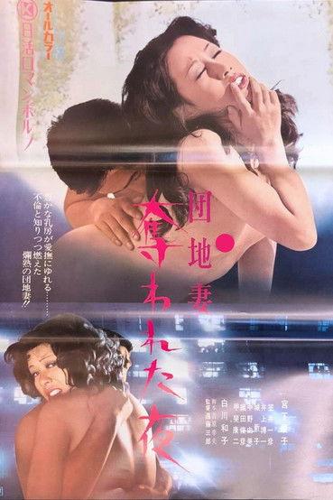 Apartment Wife: Night of the Rape 1973 official movie poster