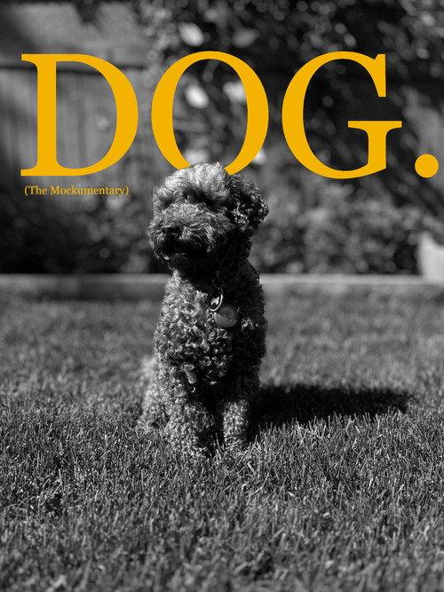 Dog (The Mockumentary) 2024 official movie poster