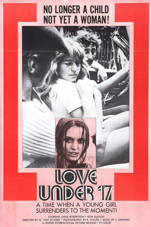 Love Under 17 1971 official movie poster