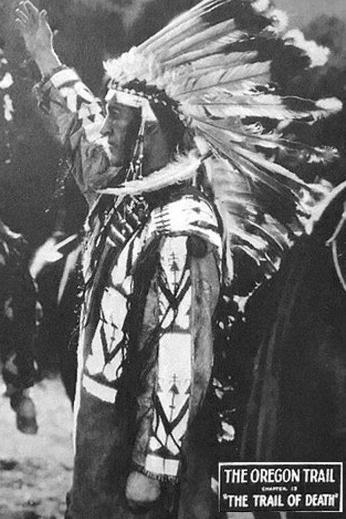 The Oregon Trail 1923 official movie poster