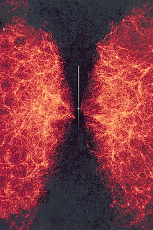 data-verse 1 2019 official movie poster