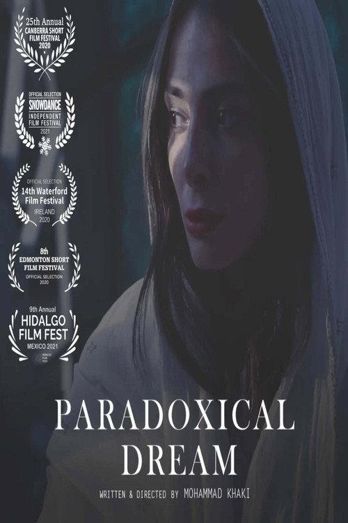 Paradoxical Dream 2025 official movie poster