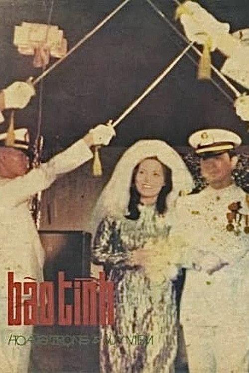 Love Storm 1972 official movie poster