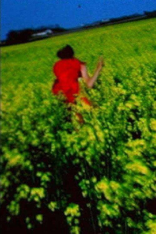 Nirona 1968 official movie poster