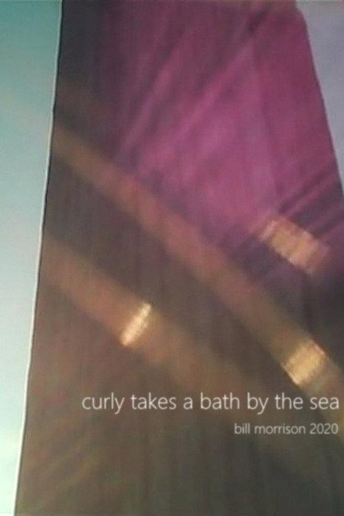 Curly Takes a Bath by the Sea 2020 official movie poster