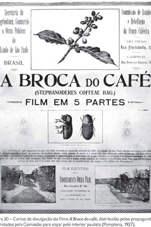 A Broca do Café 1925 official movie poster