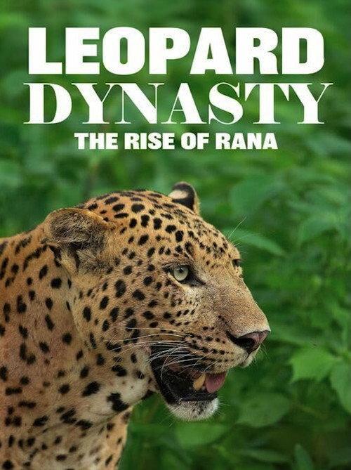 Leopard Dynasty – The Rise of Rana 2025 official movie poster