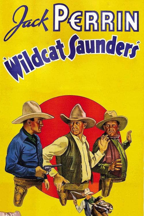 Wildcat Saunders 1936 official movie poster