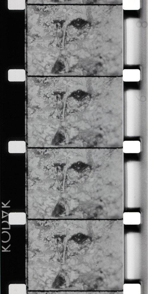 La Source de la Loire 1970 official movie poster