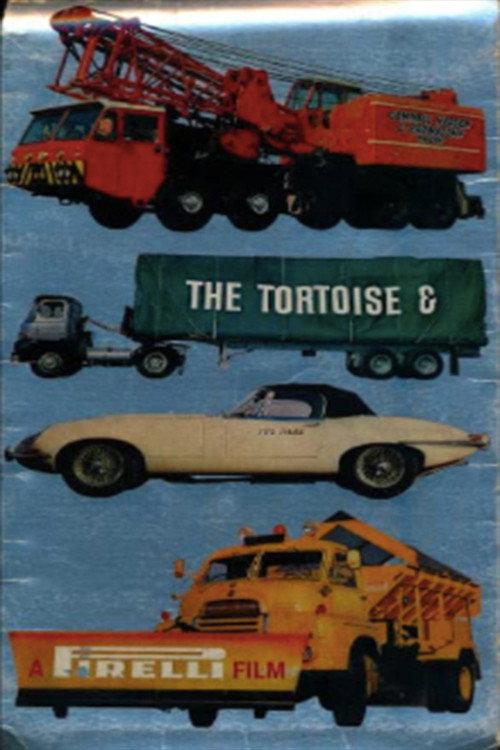 The Tortoise and the Hare 1966 official movie poster