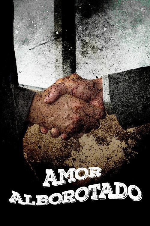 Amor alborotado 2012 official movie poster