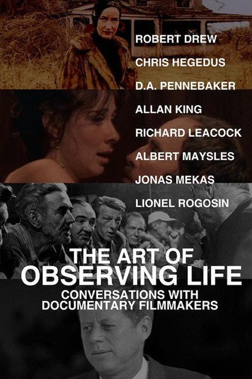 The Art of Observing Life 2013 official movie poster