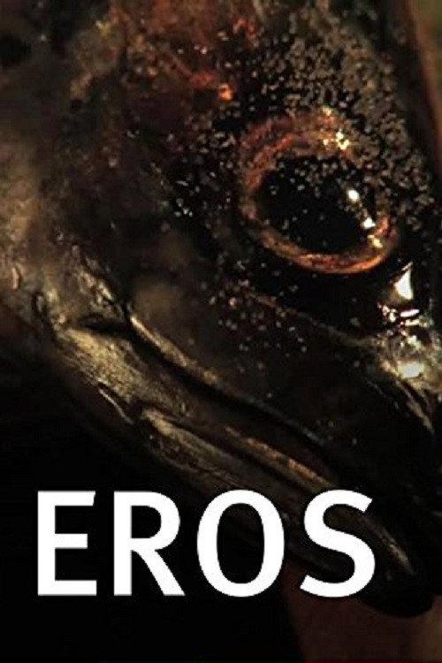 Eros 2008 official movie poster