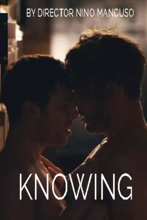 Knowing 2013 official movie poster