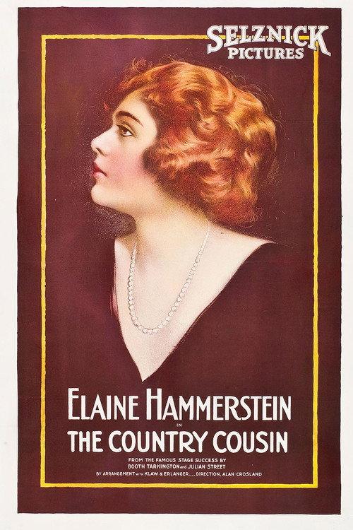 The Country Cousin 1919 official movie poster