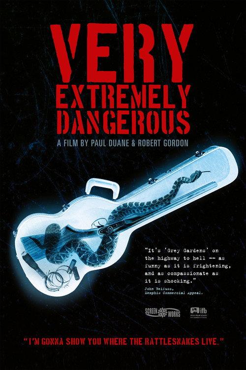 Very Extremely Dangerous 2013 official movie poster