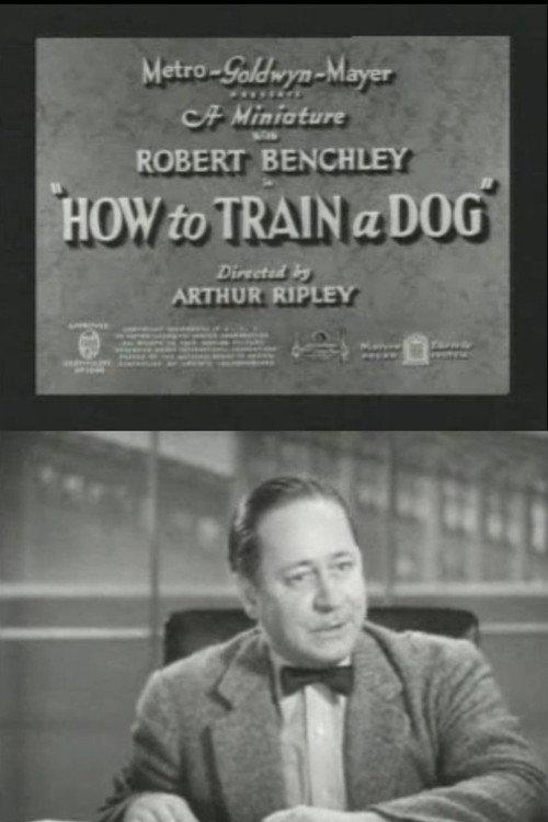 How to Train a Dog 1936 official movie poster