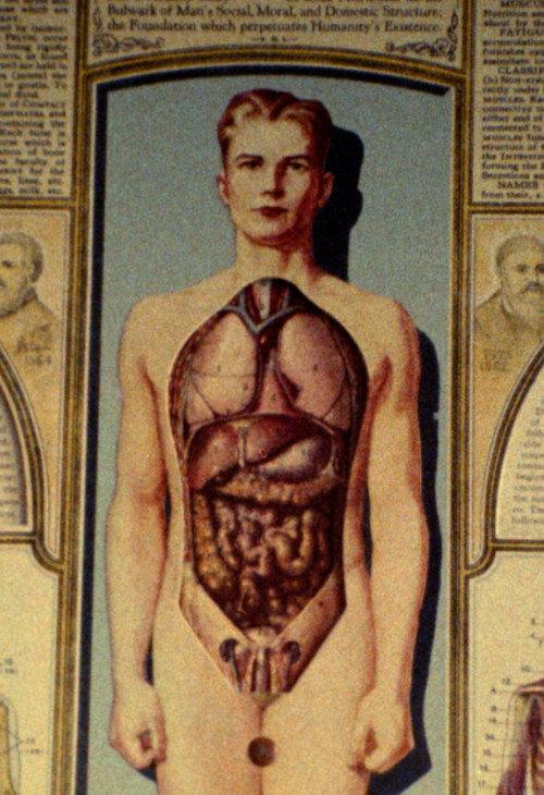 Natural History 1989 official movie poster