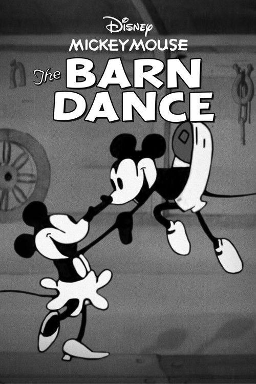 The Barn Dance 1929 official movie poster