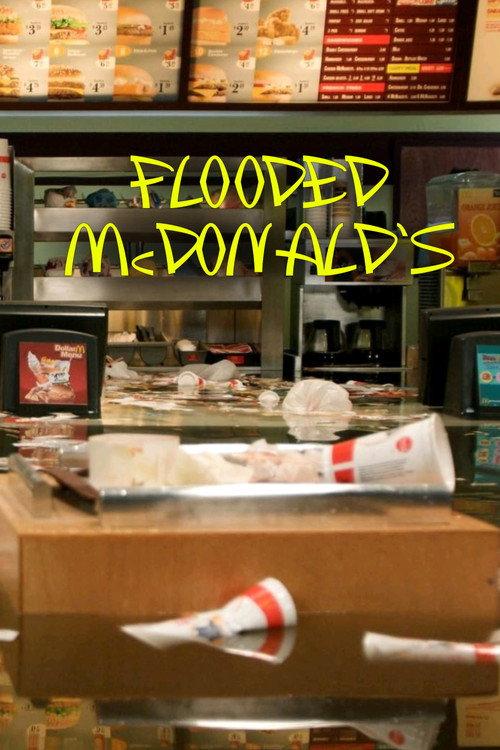 Flooded McDonald’s 2009 official movie poster
