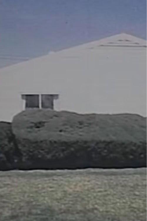 Homogeneity 1998 official movie poster